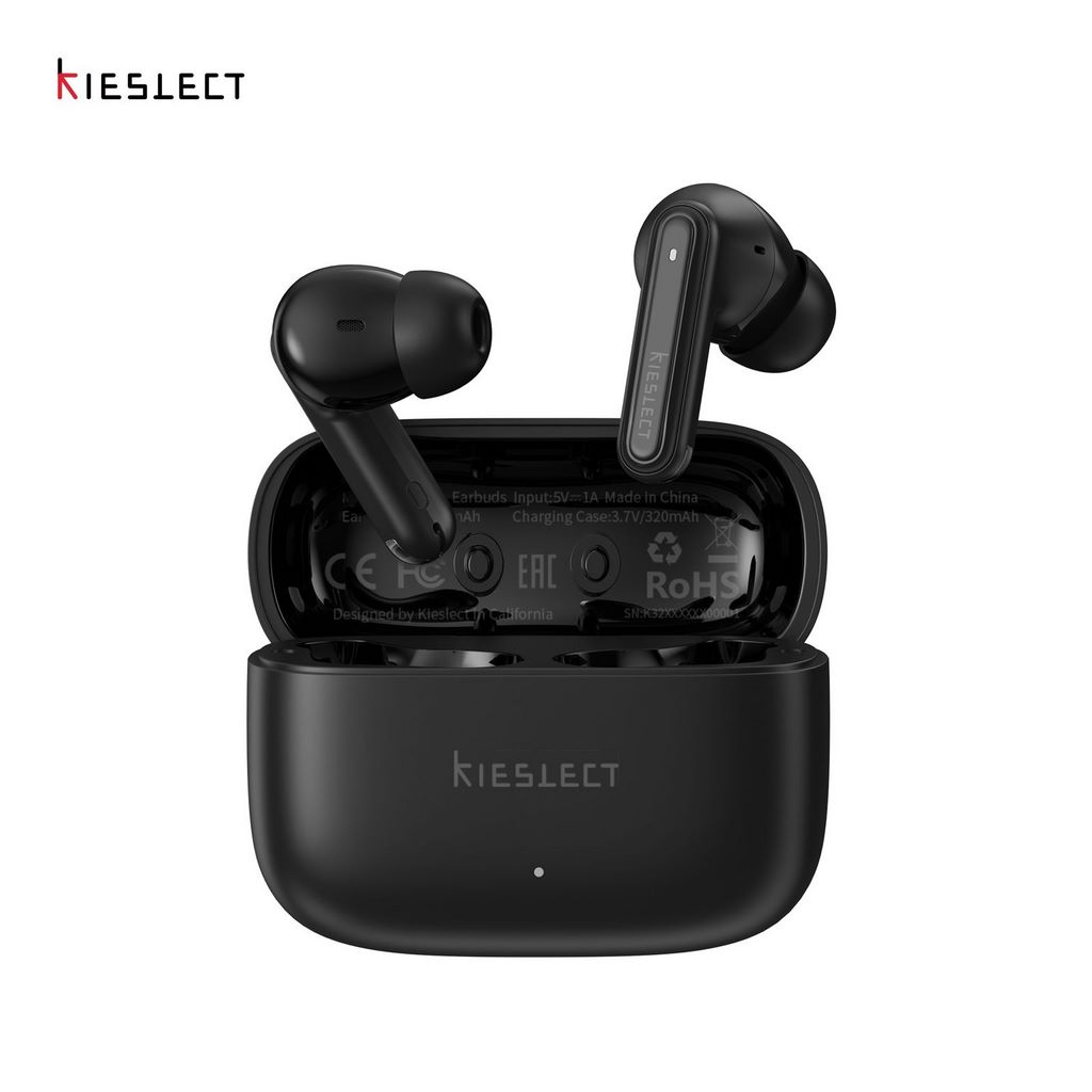 Adjustable Earbuds